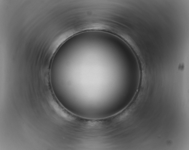 X0000111500850200907141311