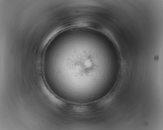 X0000111500851200907141311