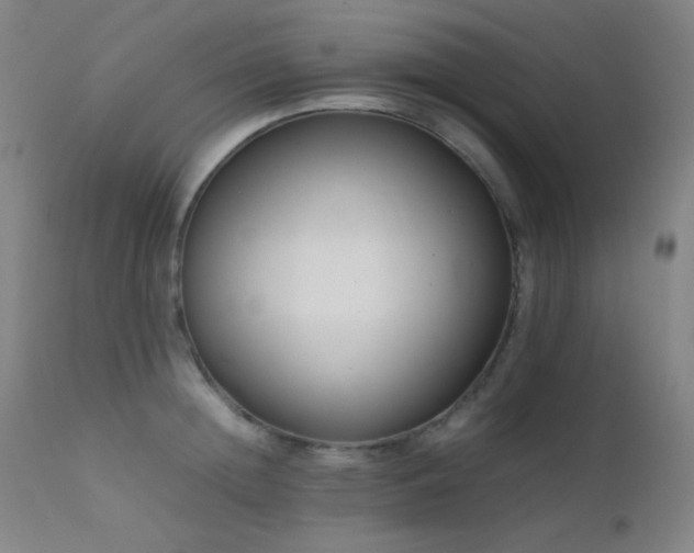 X0000111500852200907141311