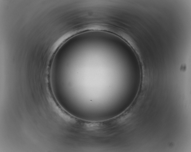 X0000111500853200907141311