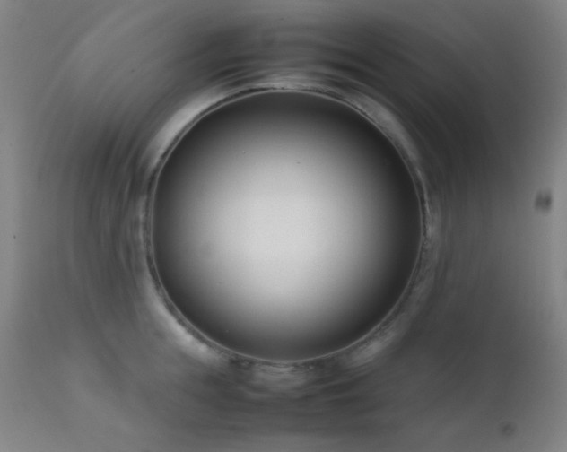 X0000111500855200907141311