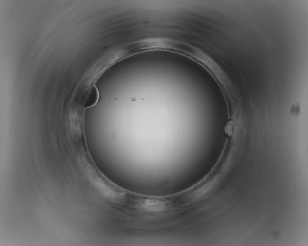 X0000111500857200907141311