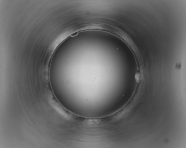 X0000111500858200907141311