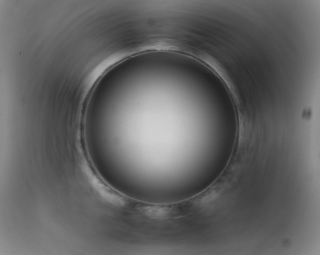 X0000111500861200907141311