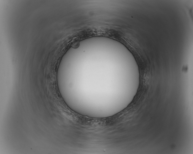 X0000111500865200907141310
