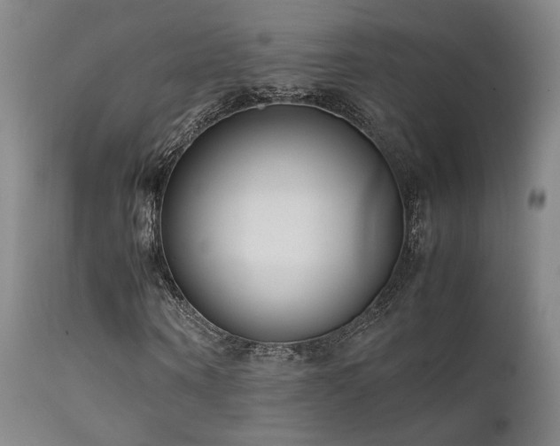 X0000111500866200907141310