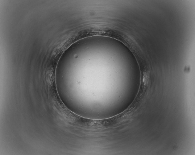 X0000111500867200907141310