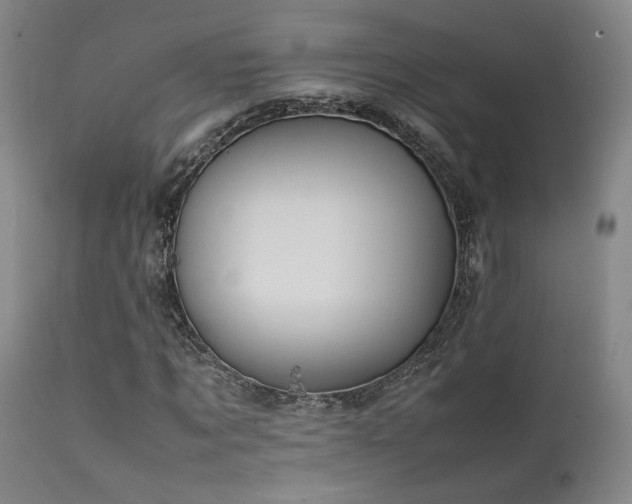 X0000111500869200907141310