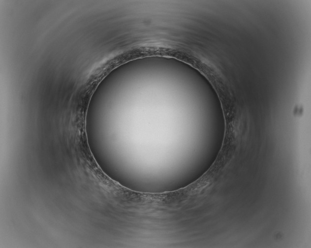 X0000111500870200907141310