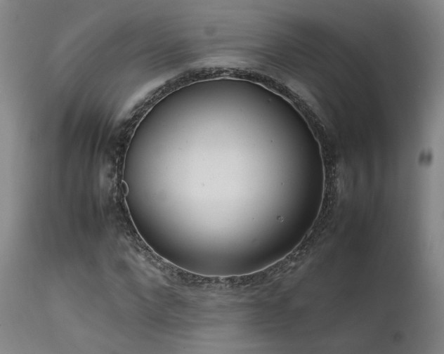 X0000111500872200907141310