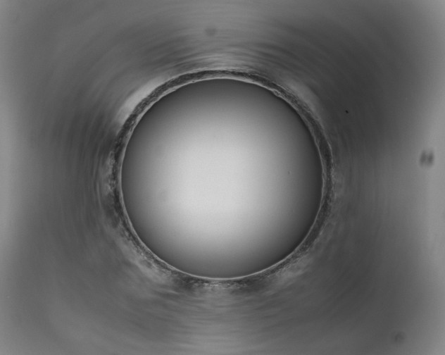 X0000111500875200907141310