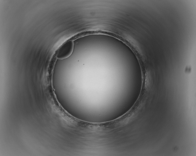 X0000111500876200907141310