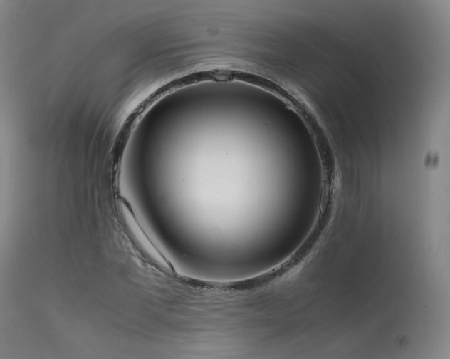 X0000111500877200907141310