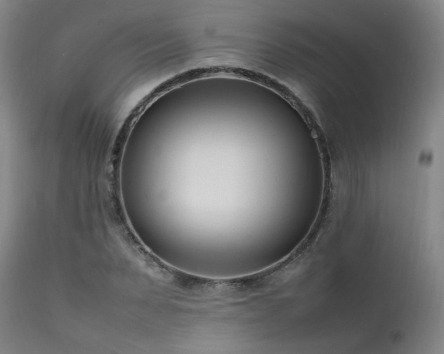 X0000111500879200907141310