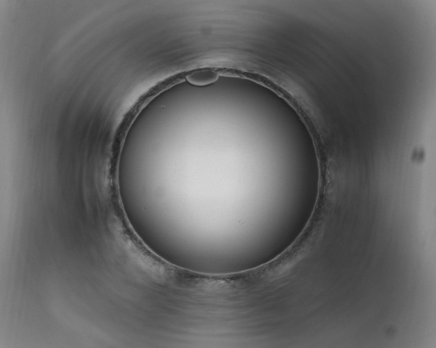 X0000111500880200907141310
