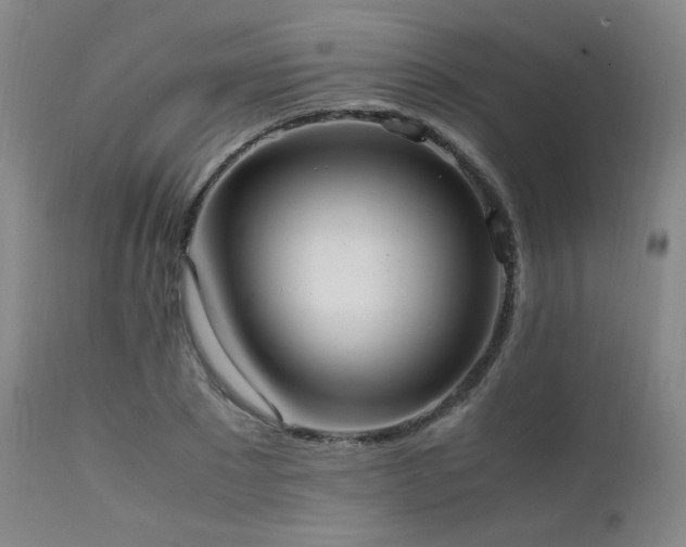 X0000111500881200907141309