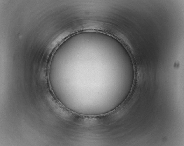 X0000111500882200907141309