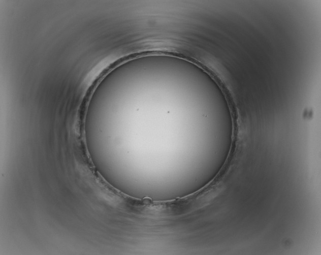 X0000111500883200907141309