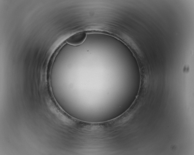 X0000111500884200907141309