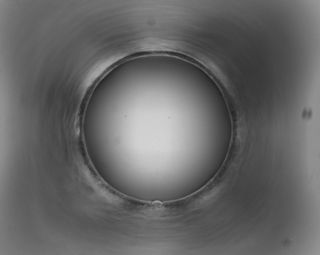 X0000111500885200907141309