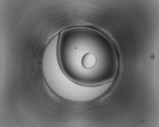 X0000111500889200907141309