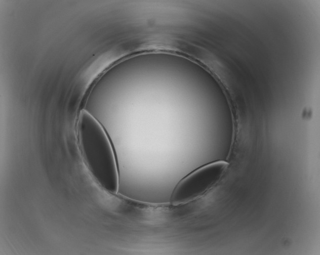 X0000111500893200907141309