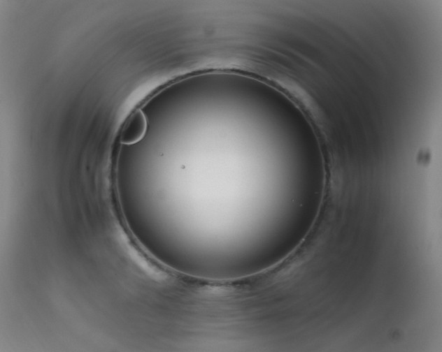 X0000111500894200907141309