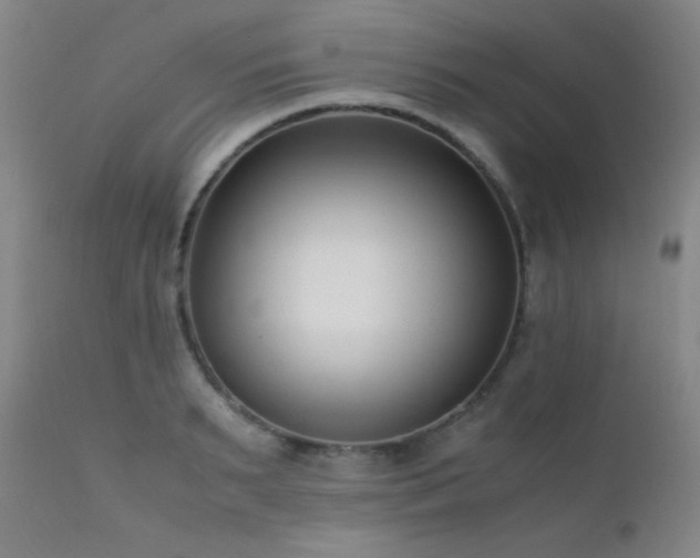 X0000111500895200907141309