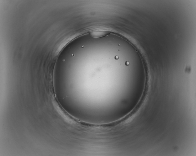 X0000111500897200907141309