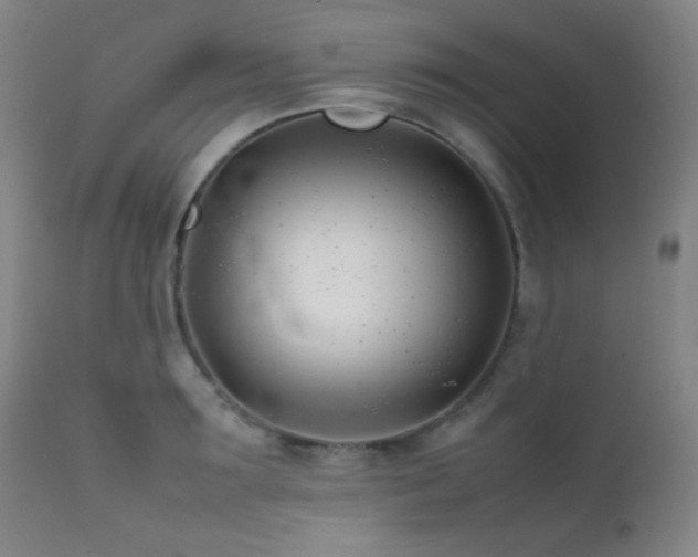 X0000111500899200907141309