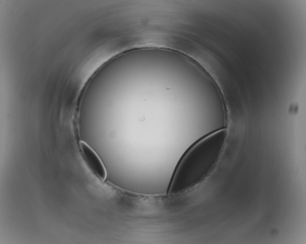 X0000111500901200907141309