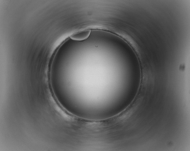 X0000111500902200907141309