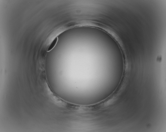 X0000111500905200907141309