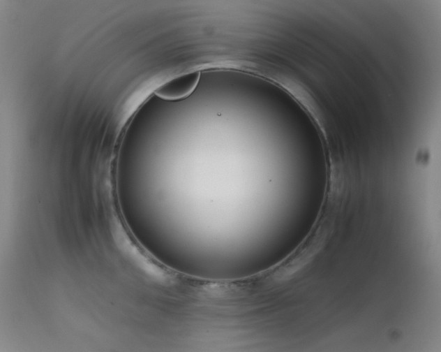 X0000111500906200907141309