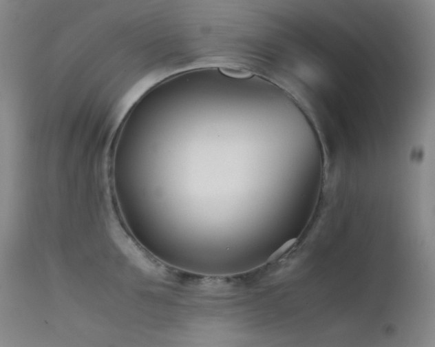 X0000111500907200907141309