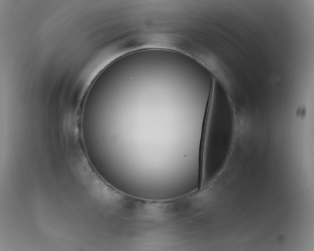 X0000111500908200907141309