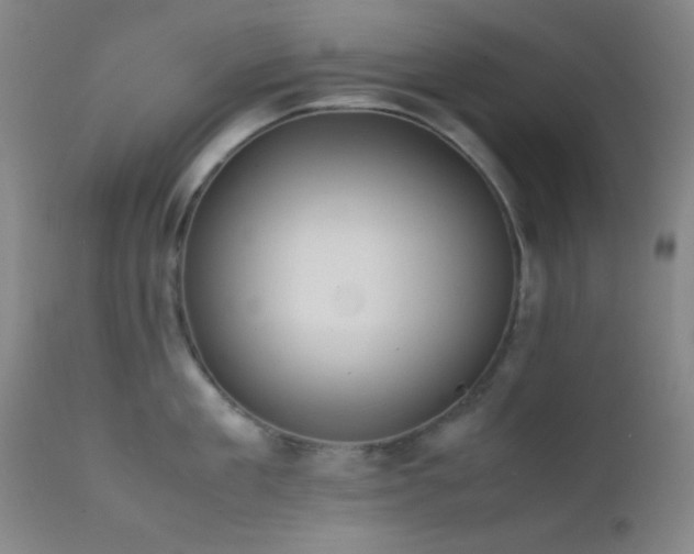 X0000111500909200907141309