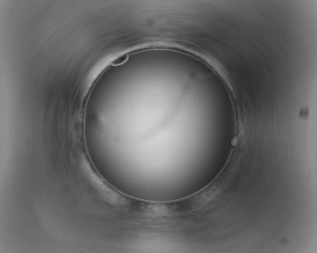 X0000111500911200907141309