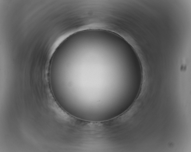 X0000111500912200907141309