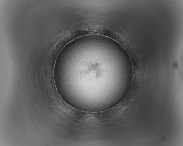 X0000111500913200907141308