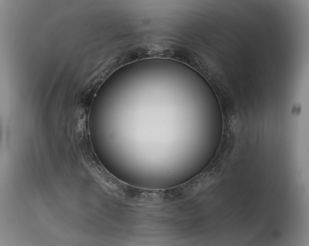X0000111500914200907141308