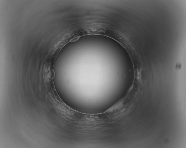 X0000111500915200907141308