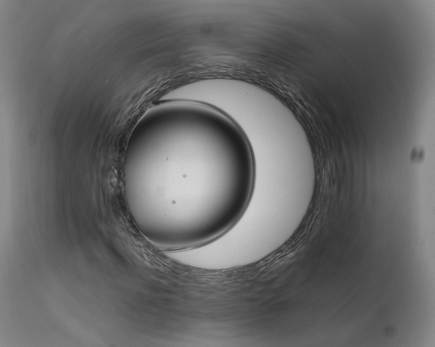 X0000111500916200907141308