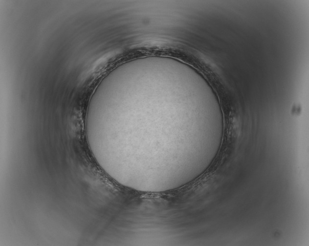 X0000111500918200907141308
