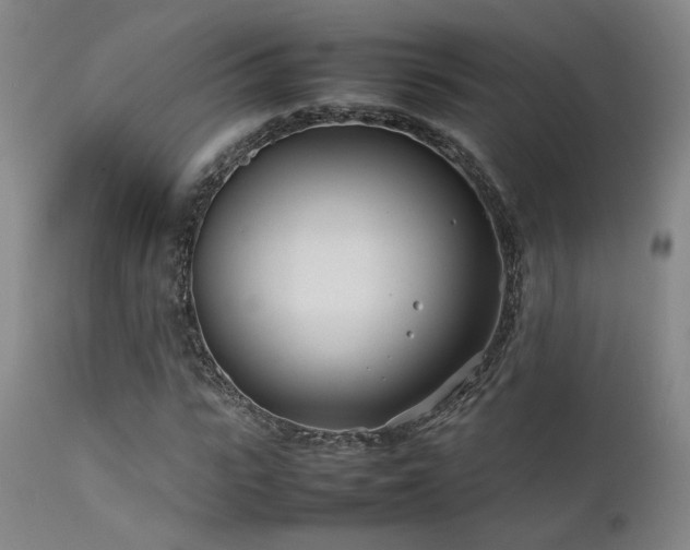 X0000111500919200907141308