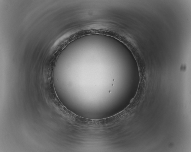 X0000111500920200907141309