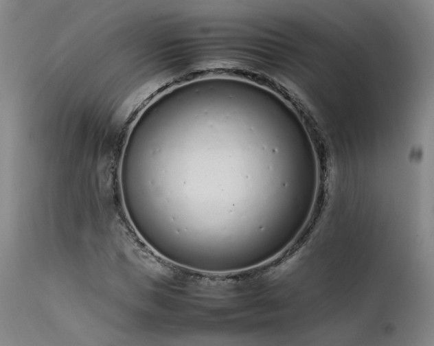 X0000111500921200907141309