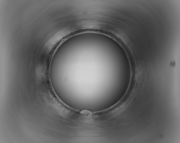 X0000111500922200907141309