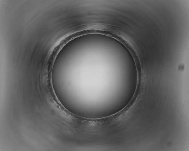 X0000111500923200907141309