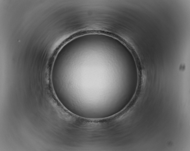 X0000111500925200907141309